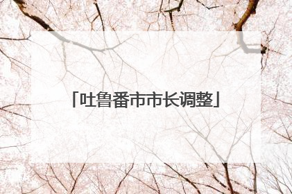 吐鲁番市市长调整