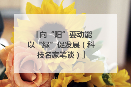 向“阳”要动能 以“绿”促发展（科技名家笔谈）