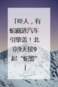 吓人，有蛇藏进汽车引擎盖！北京9天接9起“蛇警”