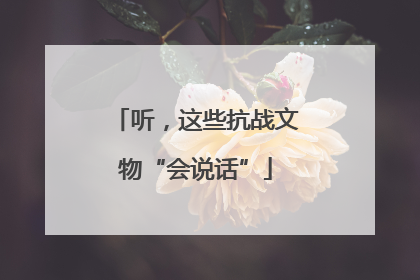 听，这些抗战文物“会说话”