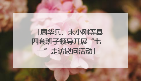 周华兵、未小刚等县四套班子领导开展“七一”走访慰问活动