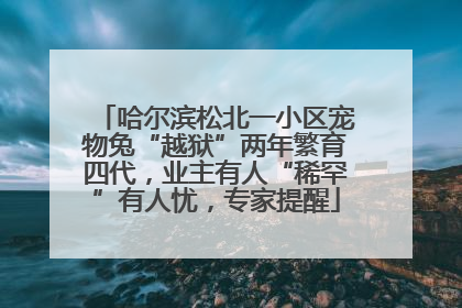 哈尔滨松北一小区宠物兔“越狱”两年繁育四代，业主有人“稀罕”有人忧，专家提醒