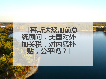 哥斯达黎加前总统顾问：美国对外加关税，对内猛补贴，公平吗？