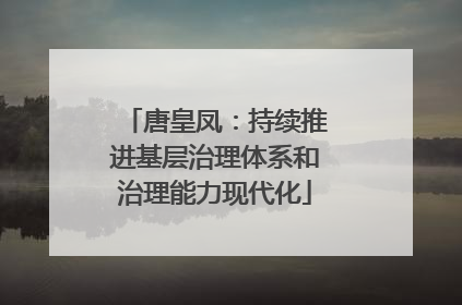唐皇凤：持续推进基层治理体系和治理能力现代化
