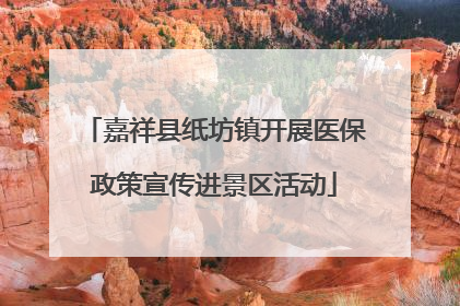 嘉祥县纸坊镇开展医保政策宣传进景区活动
