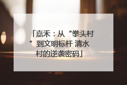 嘉禾：从“拳头村”到文明标杆 清水村的逆袭密码