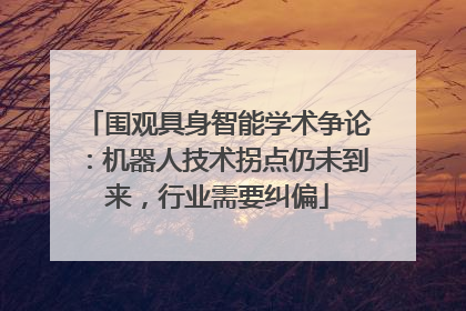 围观具身智能学术争论：机器人技术拐点仍未到来，行业需要纠偏