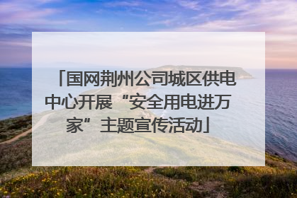 国网荆州公司城区供电中心开展“安全用电进万家”主题宣传活动