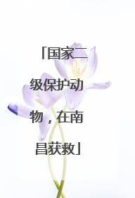 国家二级保护动物，在南昌获救