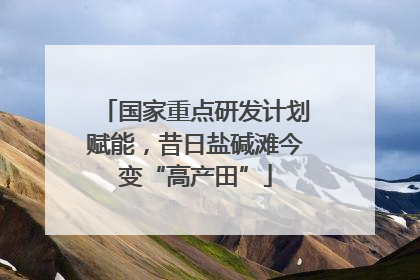 国家重点研发计划赋能，昔日盐碱滩今变“高产田”