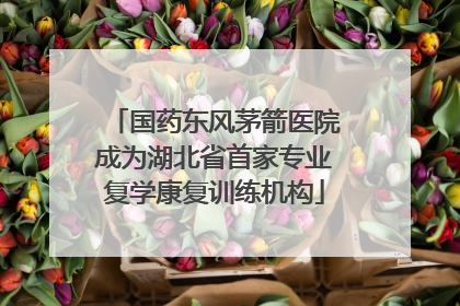 国药东风茅箭医院成为湖北省首家专业复学康复训练机构