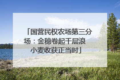 国营民权农场第三分场：金穗卷起千层浪 小麦收获正当时