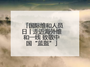 国际维和人员日丨走近海外维和一线 致敬中国“蓝盔”