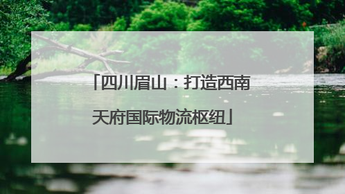 四川眉山：打造西南天府国际物流枢纽