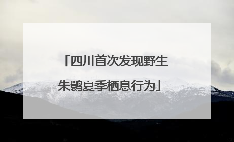 四川首次发现野生朱鹮夏季栖息行为