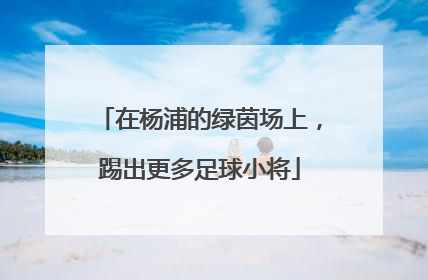 在杨浦的绿茵场上，踢出更多足球小将