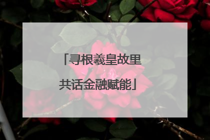 寻根羲皇故里 共话金融赋能