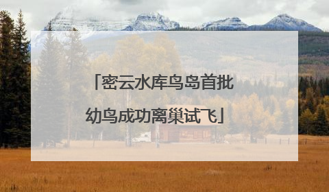 密云水库鸟岛首批幼鸟成功离巢试飞