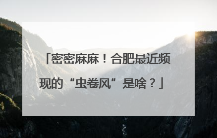 密密麻麻！合肥最近频现的“虫卷风”是啥？