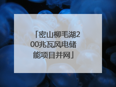 密山柳毛湖200兆瓦风电储能项目并网