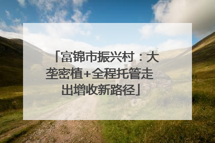 富锦市振兴村：大垄密植+全程托管走出增收新路径