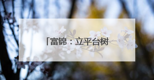 富锦：立平台树标杆深耕文明实践培育文明新风