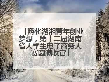 孵化湖湘青年创业梦想，第十二届湖南省大学生电子商务大赛圆满收官