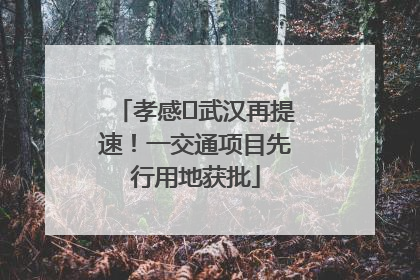 孝感⇋武汉再提速！一交通项目先行用地获批