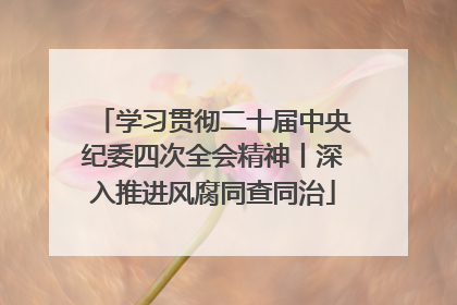 学习贯彻二十届中央纪委四次全会精神丨深入推进风腐同查同治