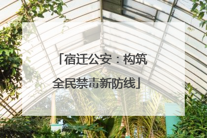 宿迁公安：构筑全民禁毒新防线