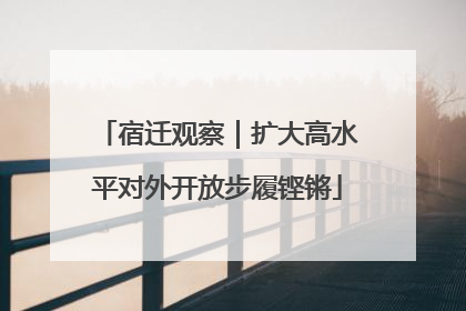 宿迁观察｜扩大高水平对外开放步履铿锵