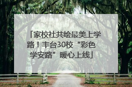 家校社共绘最美上学路！丰台30校“彩色学安路”暖心上线
