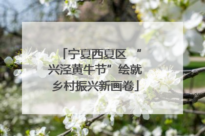 宁夏西夏区 “兴泾黄牛节”绘就乡村振兴新画卷