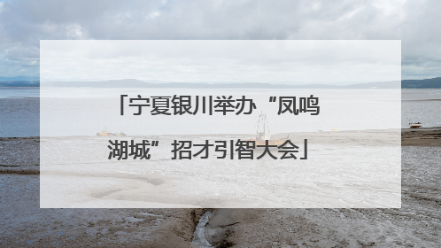 宁夏银川举办“凤鸣湖城”招才引智大会