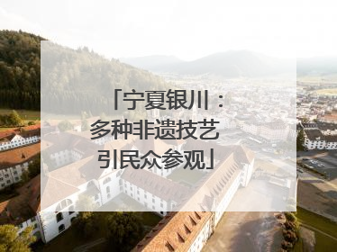 宁夏银川：多种非遗技艺引民众参观