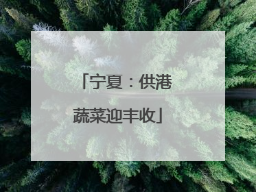 宁夏：供港蔬菜迎丰收