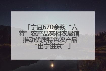 宁夏670余款“六特”农产品亮相农展馆 推动优质特色农产品“出宁进京”