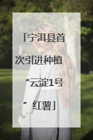 宁洱县首次引进种植“云淀1号”红薯
