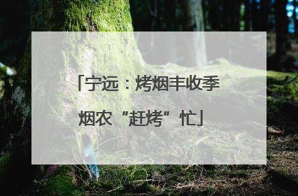 宁远：烤烟丰收季 烟农“赶烤”忙