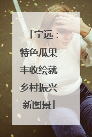 宁远：特色瓜果丰收绘就乡村振兴新图景