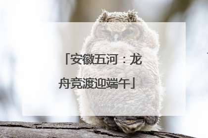 安徽五河：龙舟竞渡迎端午