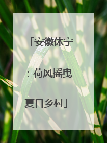 安徽休宁：荷风摇曳夏日乡村