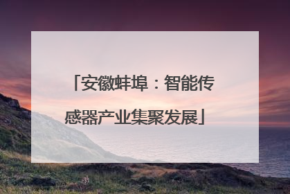 安徽蚌埠：智能传感器产业集聚发展