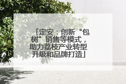 定安：创新“包树”销售等模式，助力荔枝产业转型升级和品牌打造