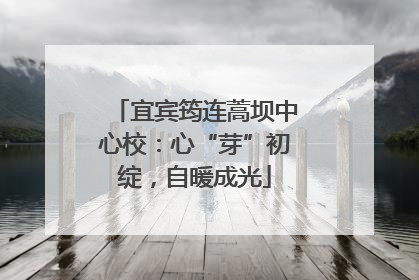 宜宾筠连蒿坝中心校：心“芽”初绽，自暖成光