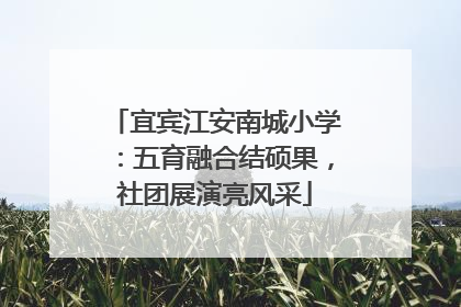 宜宾江安南城小学：五育融合结硕果，社团展演亮风采