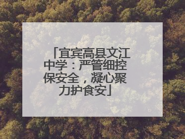 宜宾高县文江中学：严管细控保安全，凝心聚力护食安