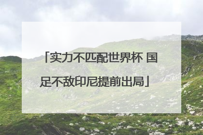实力不匹配世界杯 国足不敌印尼提前出局
