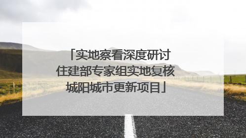 实地察看深度研讨 住建部专家组实地复核城阳城市更新项目