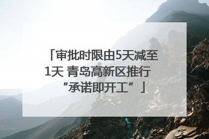 审批时限由5天减至1天 青岛高新区推行“承诺即开工”